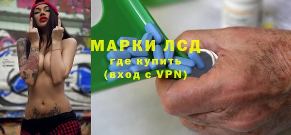 индика Ветлуга