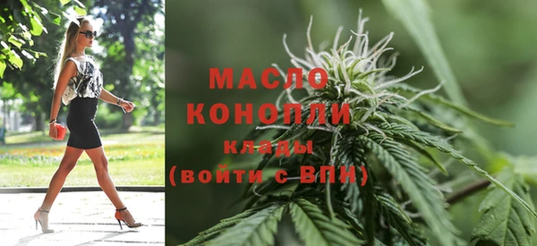 индика Ветлуга