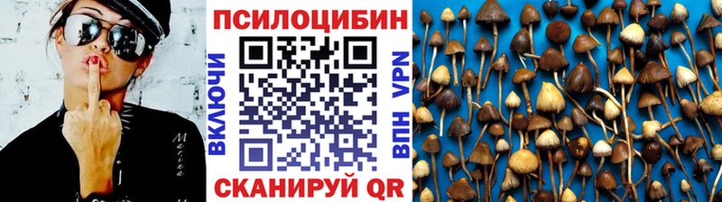 Галлюциногенные грибы Cubensis  продажа наркотиков  Струнино 